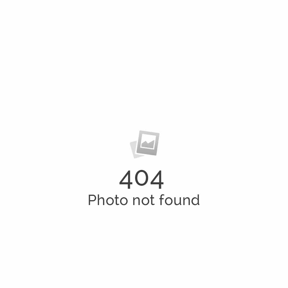 View Portfolio